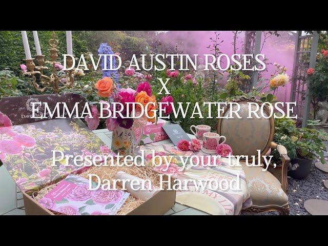 DAVID AUSTIN ROSES X EMMA BRIDGEWATER ROSE | BOX SET | MUGS | ROSE REVIEW | BRIDGERTON STYLE