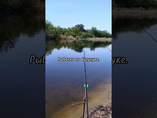 Рыбалка на Бузулуке. #fishing