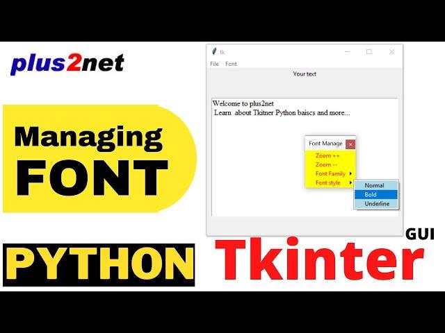 Tkinter managing font family, size and style of text widget from menu bar