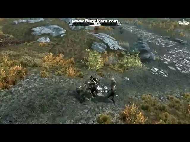 Scorpion in Skyrim