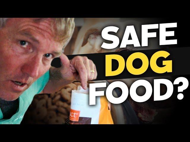 10 Dog Foods Not Linked to Canine Heart Disease