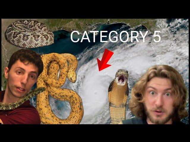 Venomous Snakes during a Hurricane with @ChandlersWildLife