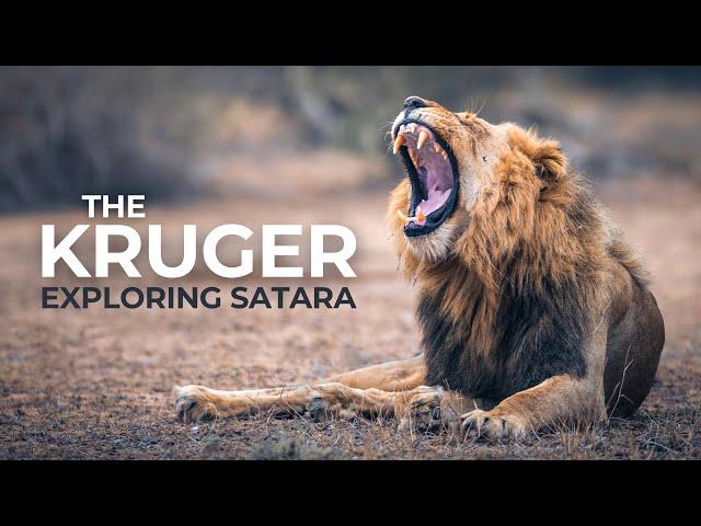 KRUGER NATIONAL PARK | The Secrets It Shares | Satara