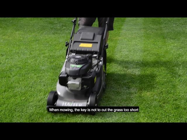 The proper way to mow your lawn | Lawn care UK