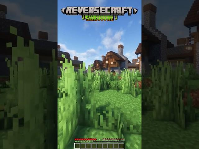 Сервер ReverseCraft #minecraft #майнкрафт #выживание #сервер #стрим #рп