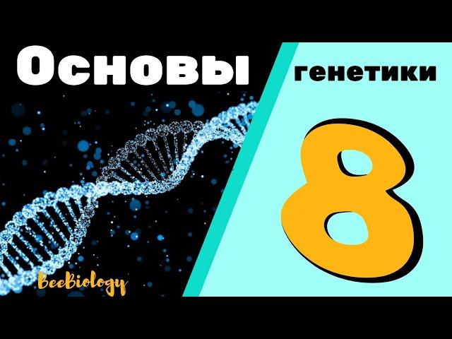 Основы генетики ~ генотип и фенотип ~ гомозигота и гетерозигота