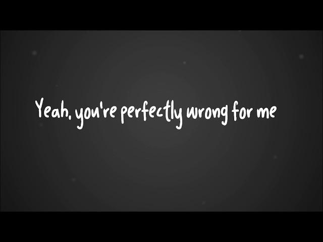 Shawn Mendes - 'Perfectly Wrong' Lyrics