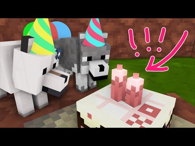 Wolf Life: Gray Paw Funny Party - Minecraft Animation