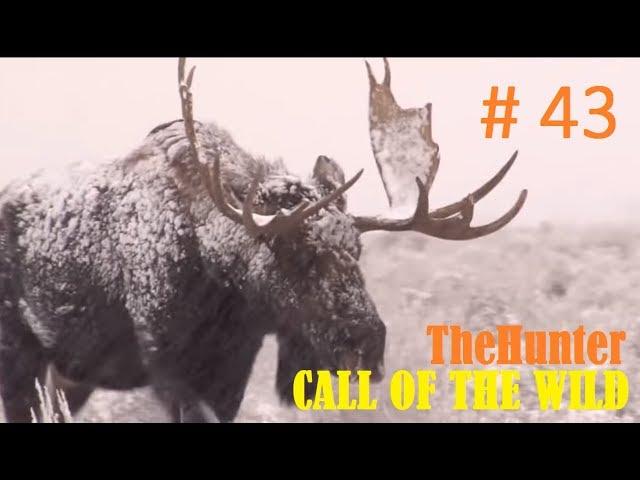 Мир охоты theHunter Call of the Wild # 43