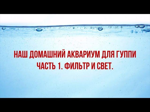 ДОМАШНИЙ АКВАРИУМ ДЛЯ ГУППИ. ЧАСТЬ 1.  ФИЛЬТР И СВЕТ./A HOME AQUARIUM FOR GUPPIES. FILTER AND LIGHT.