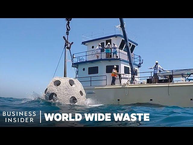 How Reefs Made With Human Remains Restore Florida Coast Line | World Wide Waste