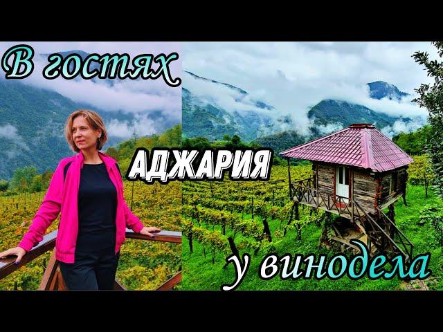 Грузия. Горная Аджария. Экскурсия под дождём. Водопад Махунцети, мост Тамары, секреты винодела