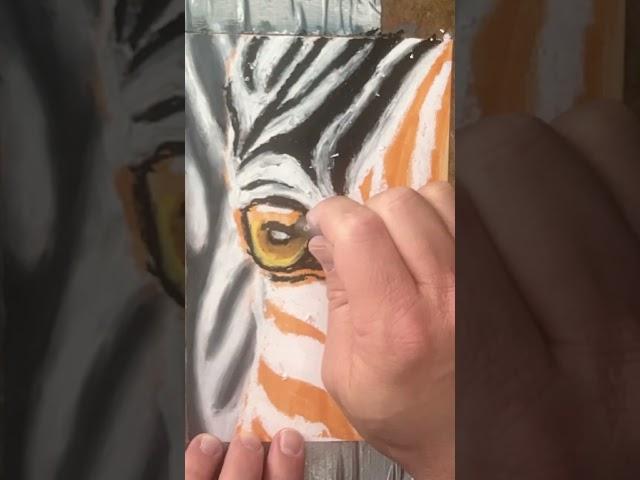 Painting a Zebra: The Art Experiment