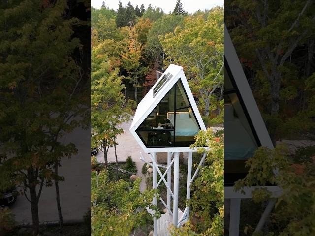 Tiny Home Micro A-Frame Cabin Treehouse! (60 Second Airbnb Tour)