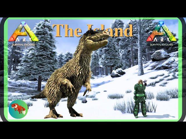 Yutyrannus!!! ARK Survival Evolved - SOLO - The Island 2024 (EP28)