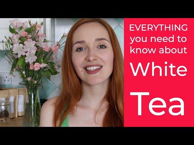 Everything you need to know about White Tea - by Teapro