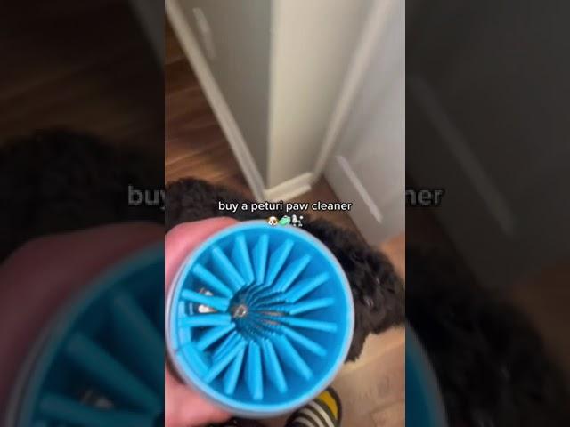 The Viral Paw Cleaner for Dogs During...