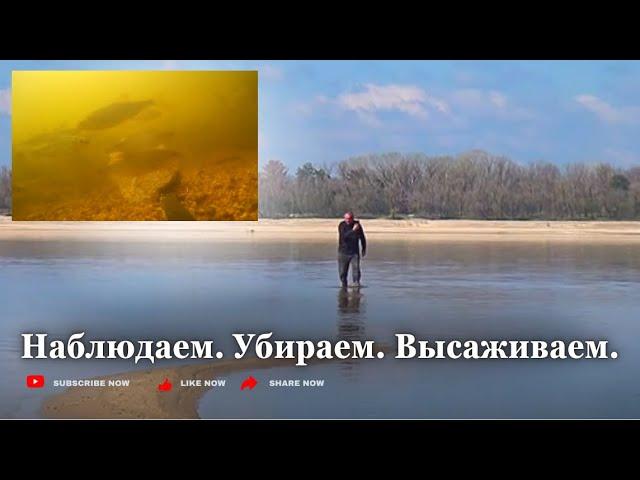 Очистные ДОМАХА. Высадка деревьев. Весна в Запорожье 13 апр. 25г.
