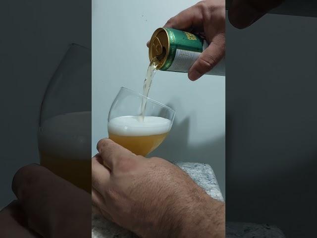 CERVEJA SPATEN DESCE MUITO BEM