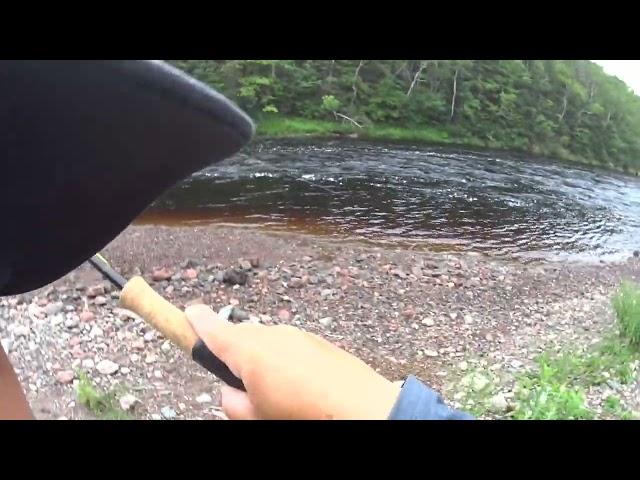 Fly fishing Atlantic salmon Cheticamp river, Cape Breton, Nova Scotia 20230724