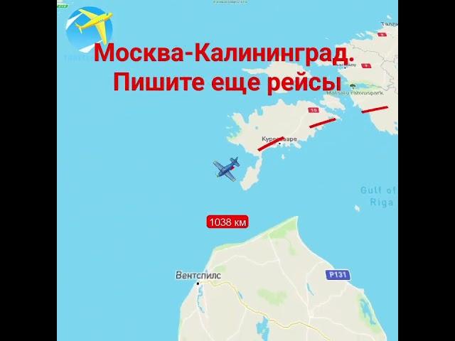 Москва калининград