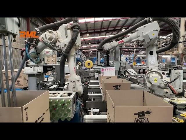 RML | Q105 Packing and Palletising System