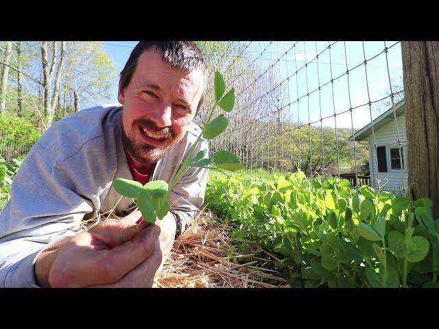 Take Care of Your Garden and It Will Take Care of You!