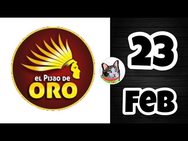 Resultado EL PIJAO DE ORO Domingo 23 de Febrero de 2025