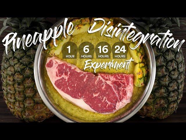 Will PINEAPPLE Completely DISINTEGRATE a STEAK? | Guga Foods