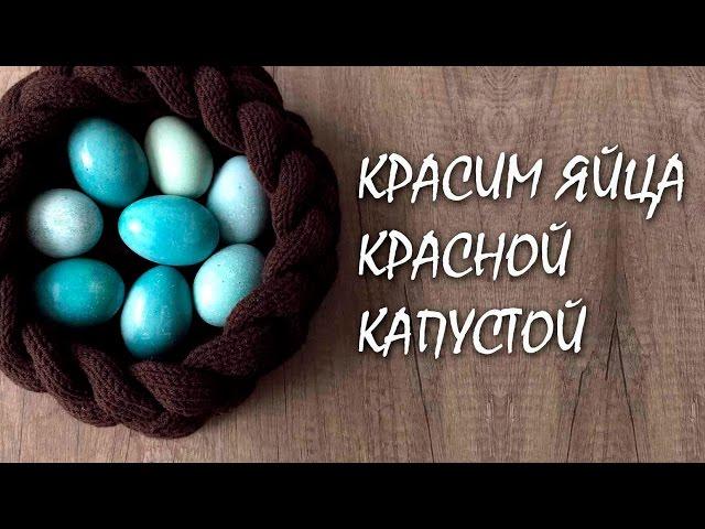 Красим яйца краснокочанной капустой