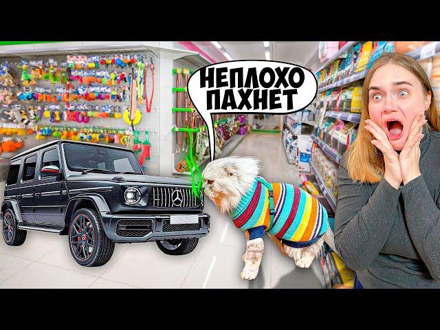 СКУПАЮ ВСЁ, ЧТО ПОНЮХАЕТ КОТ КЕВИН | с котом вход разрешён!