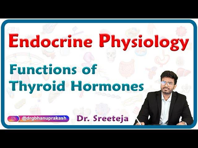 Functions of Thyroid Hormones : Endocrine physiology USMLE Step 1