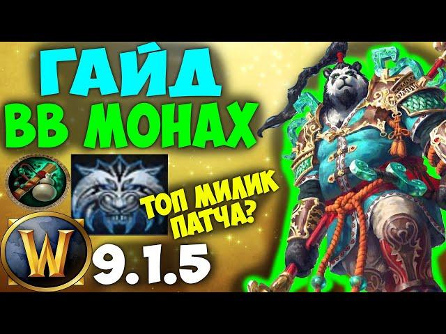 Лучший Гайд на ВВ Монаха WoW 9.1.5 Shadowlands! Топ Мили ДД Патча?