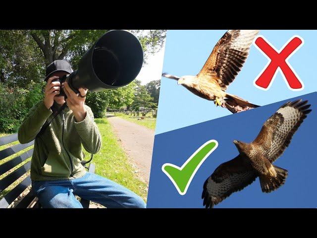 Dark Birds against a Bright Sky?!?! How to get Perfect Exposure EVERY Time when it's Sunny!