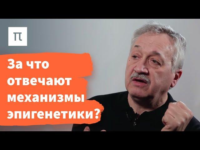 Механизмы эпигенетического наследования — Сергей Киселев / ПостНаука