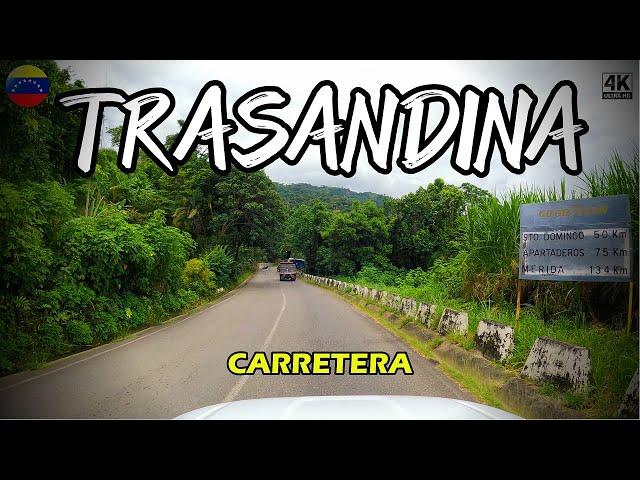 ¡DE BARINITAS PA´SANTO DOMINGO! Ruta Trasandina hacia Mérida  Venezuela en 4K. Driving Tour. 2023