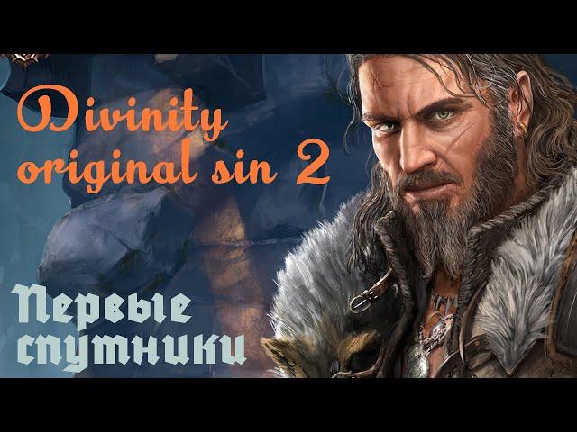 Divinity: Original Sin 2 первые спутники