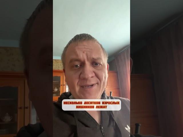 Олег Зубков подтвердил наличие холодильников с трупами животных #велесмастер