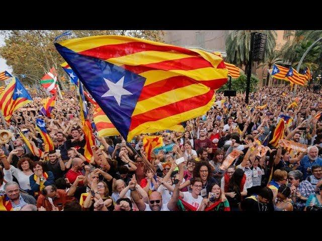 Catalan для начинающих. А1. 101-1-1. Тема: Pronombres