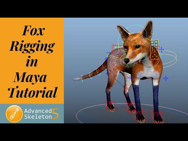 Fox Rigging in Maya / Advanced Skeleton Setup / Part -1