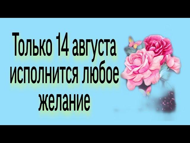 Только 14 августа исполнится любое желание. | Тайна Жрицы |