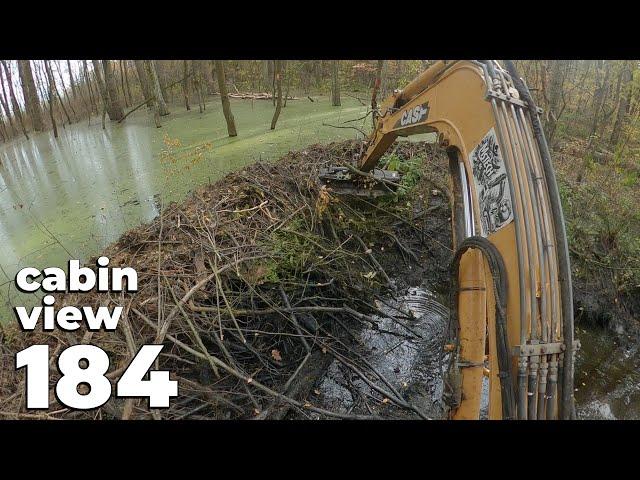 A Large Dam In The Middle Of The Forest - Beaver Dam Removal With Excavator No.184 - Cabin View