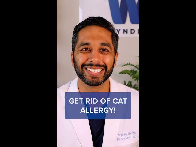 How to Get Rid of Cat Allergies Naturally