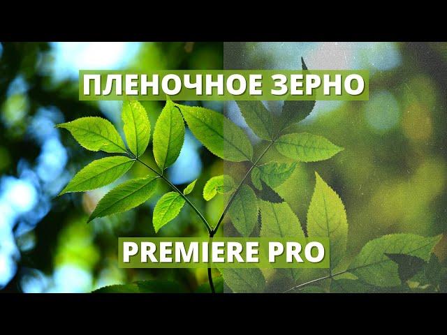 2 СПОСОБА добавить эффект пленки в Premiere Pro ► пленочное зерно в любое видео!