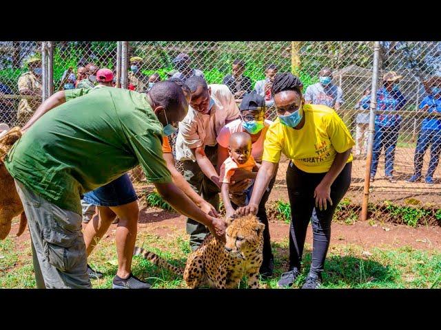 Nairobi National Park Experience