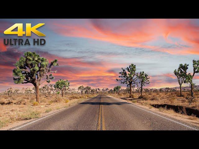 Relaxing Arizona Desert Sunset Drive 4K