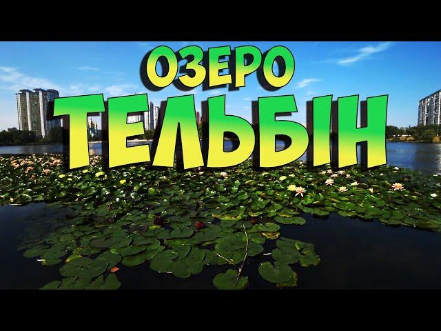 Озеро Тельбін. Велодоріжка навколо озера. Дерево Цоя. #тельбін #деревоцоя #киевсейчас #велосипед