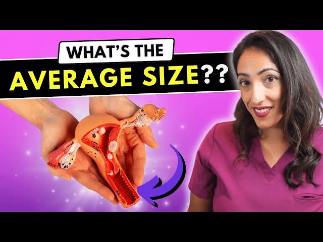 How Deep is the Vagina? Urologist Explains Average Vaginal Size (not as big as you think!)