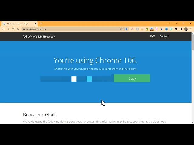 "What browser am I using?" "What's my operating system?" Try whatsmybrowser.org