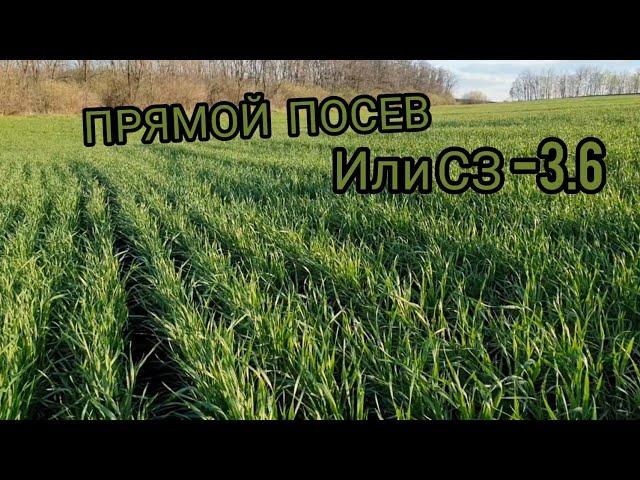 Прямой посев рулит